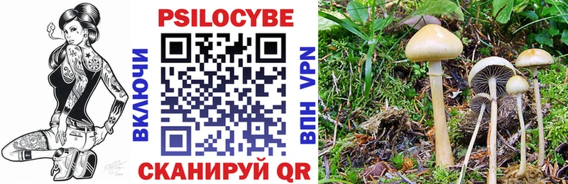 Галлюциногенные грибы прущие грибы  купить наркоту  Ростов-на-Дону 